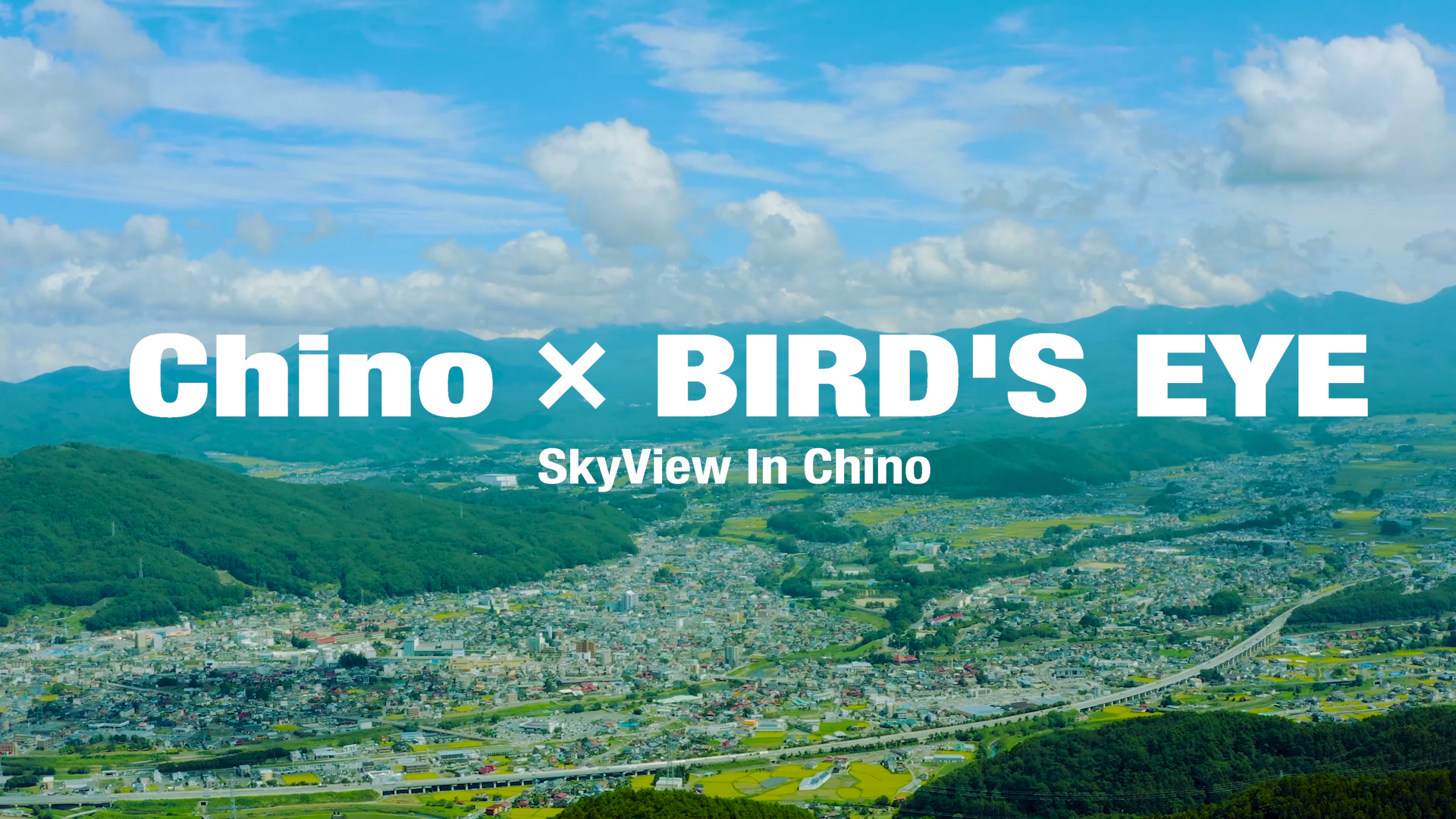 Chino ✕ BIRD'S EYE in Summer